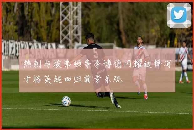 热刺与埃弗顿争夺博德闪耀边锋海于格英超回归前景乐观